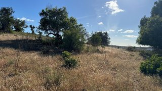 Land for sale in Silves, Portugal — €750,000