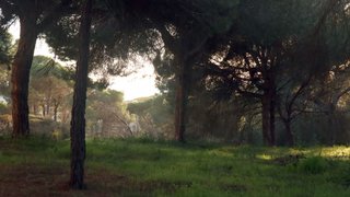 Land for sale in Loulé, Portugal — €2,275,000