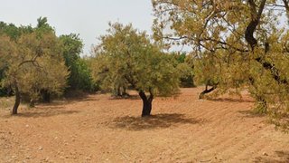 Terreno de 8250 m² em Faro