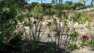 Land for sale in Loulé, Portugal — €2,775,000