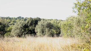 Terreno de 20 858 m² em Faro