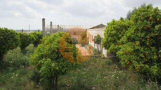 Terreno em Faro · 12 000 m² · 880 000 €