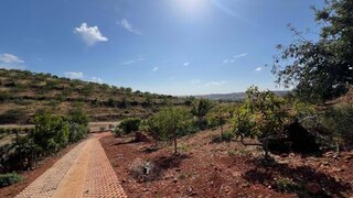 Land for sale in Silves, Portugal — €495,000