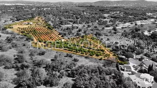 Land for sale in Loulé, Portugal — €1,850,000