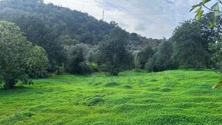Terreno · 1580 m² · 160 000 €