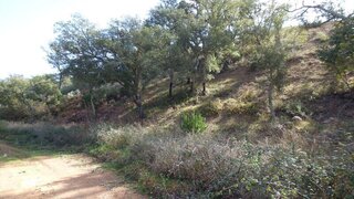 Land for sale in Silves, Portugal — €85,000