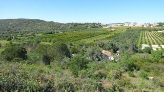 Land for sale in Loulé, Portugal — €170,000