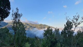 Land for sale in Cinfães, Portugal — €400,000