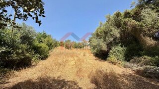 Land for sale in São Brás de Alportel, Portugal — €180,000