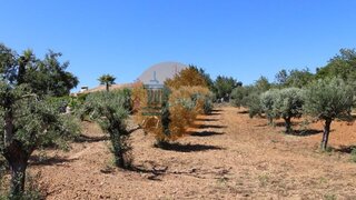 Land for sale in São Brás de Alportel, Portugal — €120,000