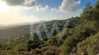 Terreno de 13 040 m² em Faro
