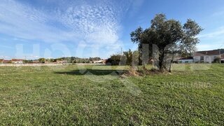 Terreno de 6620 m² em Coimbra