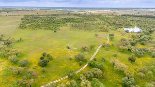 Land for sale in Alcácer do Sal, Portugal — €850,000