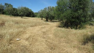 Terreno em Penela