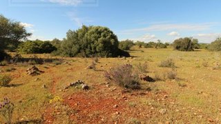 Land for sale in Silves, Portugal — €29,800