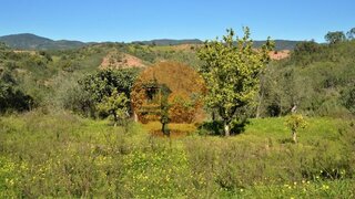 Land for sale in Tavira, Portugal — €40,000